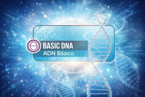 ADN BÁSICO - 22, 23 Y 24 mayo
